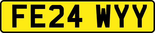 FE24WYY