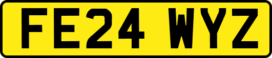 FE24WYZ