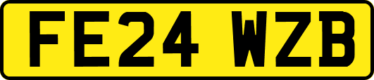 FE24WZB
