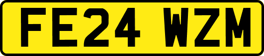 FE24WZM