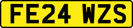 FE24WZS