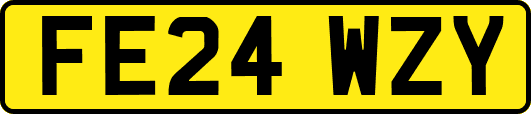 FE24WZY