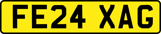 FE24XAG