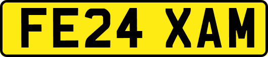 FE24XAM