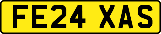 FE24XAS