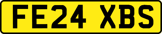 FE24XBS