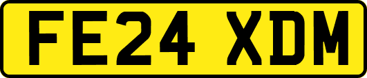 FE24XDM