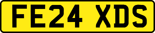 FE24XDS