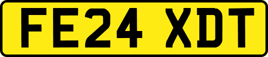 FE24XDT