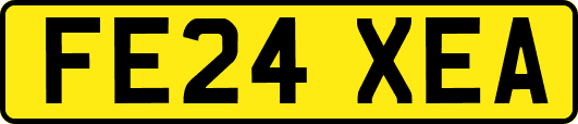 FE24XEA