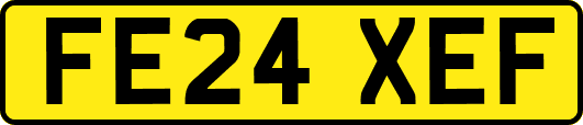 FE24XEF