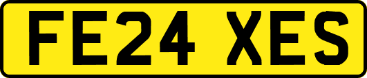 FE24XES