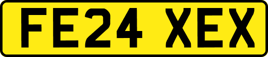 FE24XEX