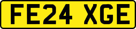 FE24XGE