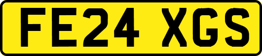 FE24XGS