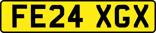 FE24XGX