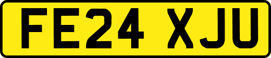 FE24XJU