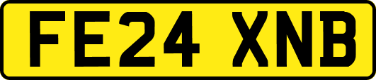 FE24XNB
