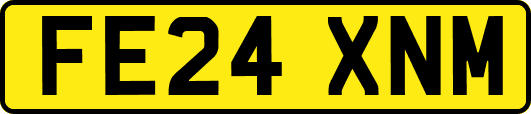 FE24XNM