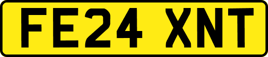 FE24XNT