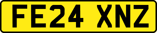 FE24XNZ