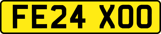 FE24XOO