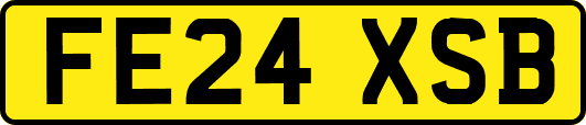 FE24XSB