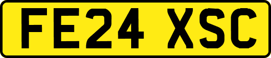 FE24XSC