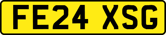 FE24XSG