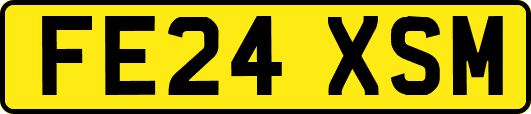 FE24XSM