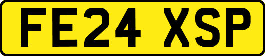 FE24XSP