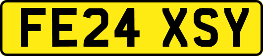 FE24XSY