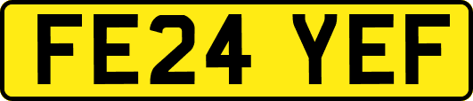 FE24YEF