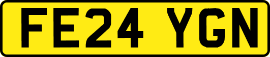 FE24YGN