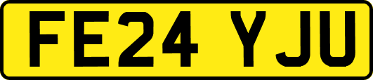 FE24YJU