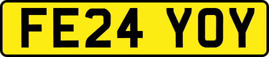 FE24YOY