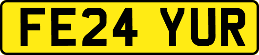 FE24YUR