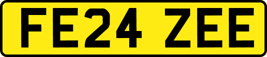 FE24ZEE
