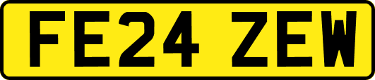 FE24ZEW