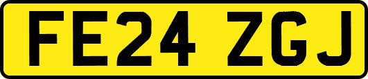 FE24ZGJ