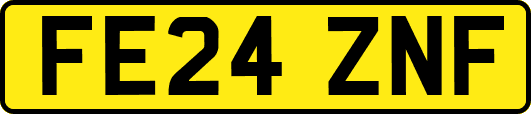 FE24ZNF