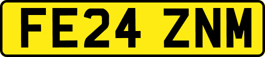 FE24ZNM
