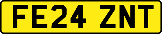 FE24ZNT