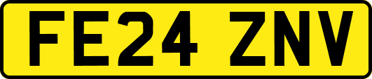 FE24ZNV