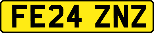 FE24ZNZ