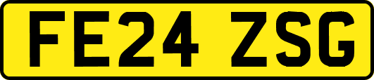 FE24ZSG