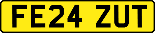 FE24ZUT
