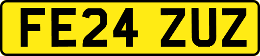 FE24ZUZ