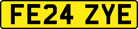 FE24ZYE