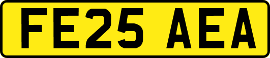 FE25AEA